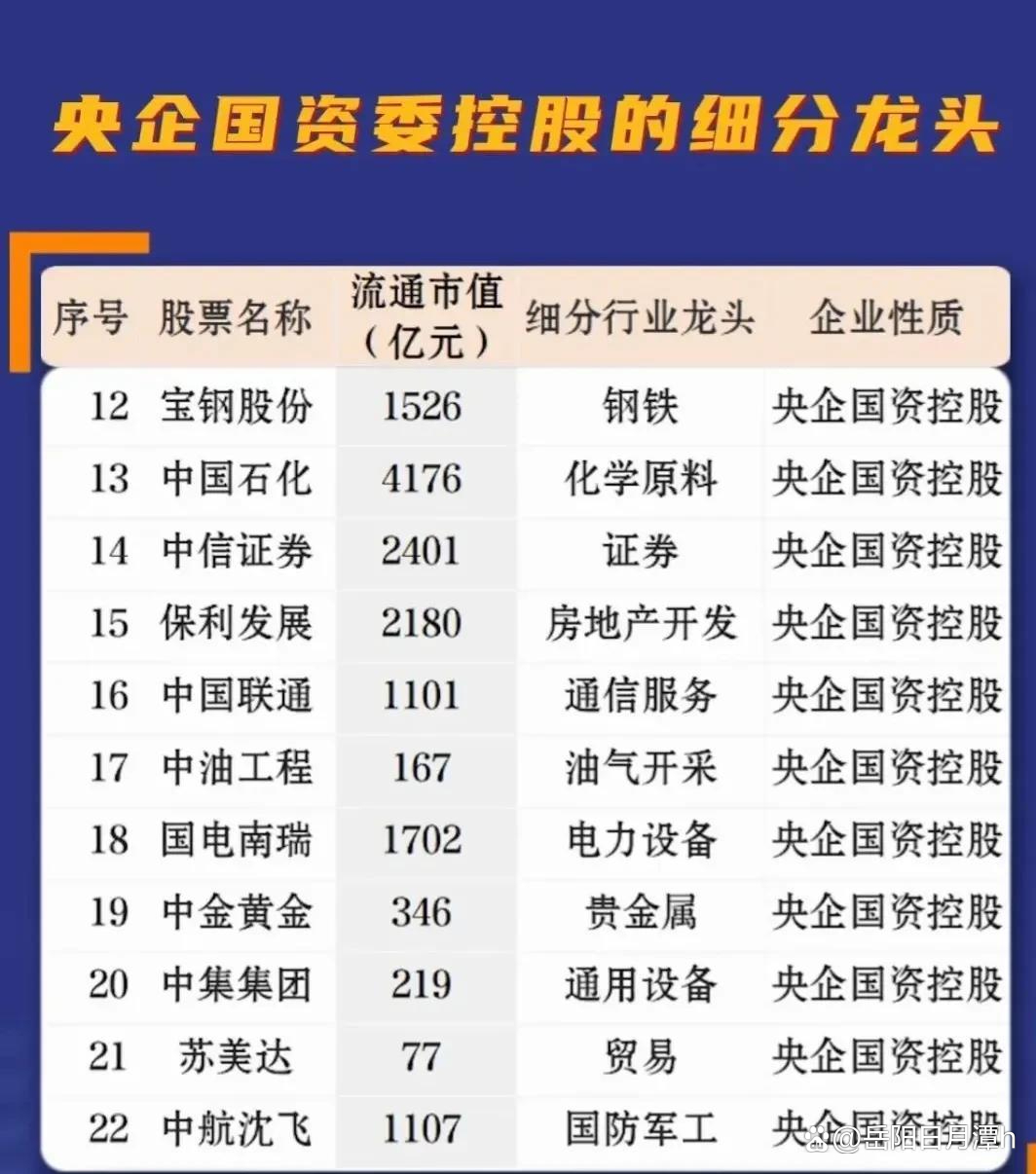 國資重組龍頭股一覽表，深度解析與前景展望，國資重組龍頭股全景解析，深度探討、前景展望及一覽表