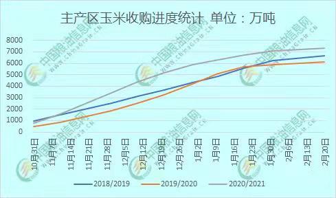 全國(guó)玉米價(jià)格最新行情分析，全國(guó)玉米價(jià)格最新行情解析