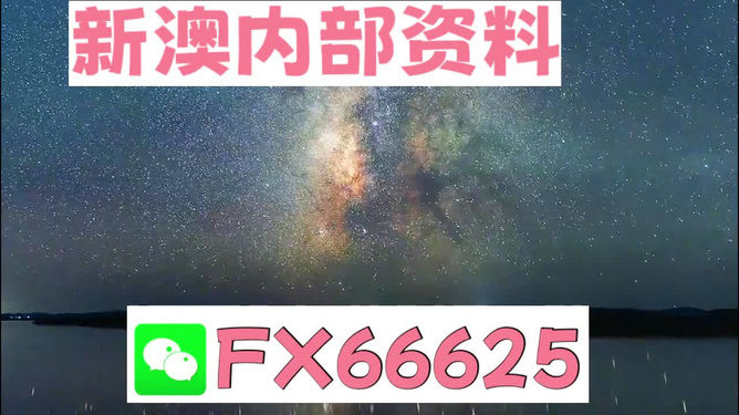 新澳2024大全正版免費資料，探索與解析，新澳2024正版資料探索與解析，警惕違法犯罪風險