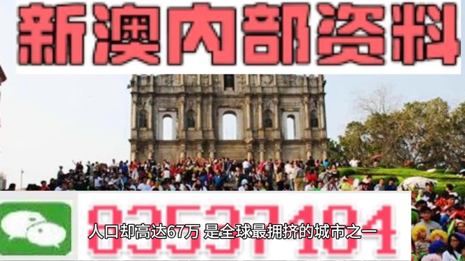 關于新澳門正版免費資料的查詢——警惕犯罪風險，警惕犯罪風險，新澳門正版免費資料查詢需謹慎