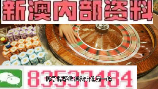 關于新澳正版資料免費大全的探討——警惕違法犯罪問題，關于新澳正版資料的探討，警惕免費大全背后的違法犯罪風險