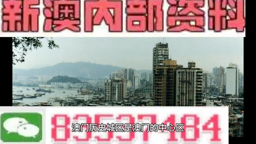 關(guān)于澳門全年免費資料的誤區(qū)與警示——警惕違法犯罪風(fēng)險，澳門免費資料的誤區(qū)與風(fēng)險警示，警惕犯罪風(fēng)險