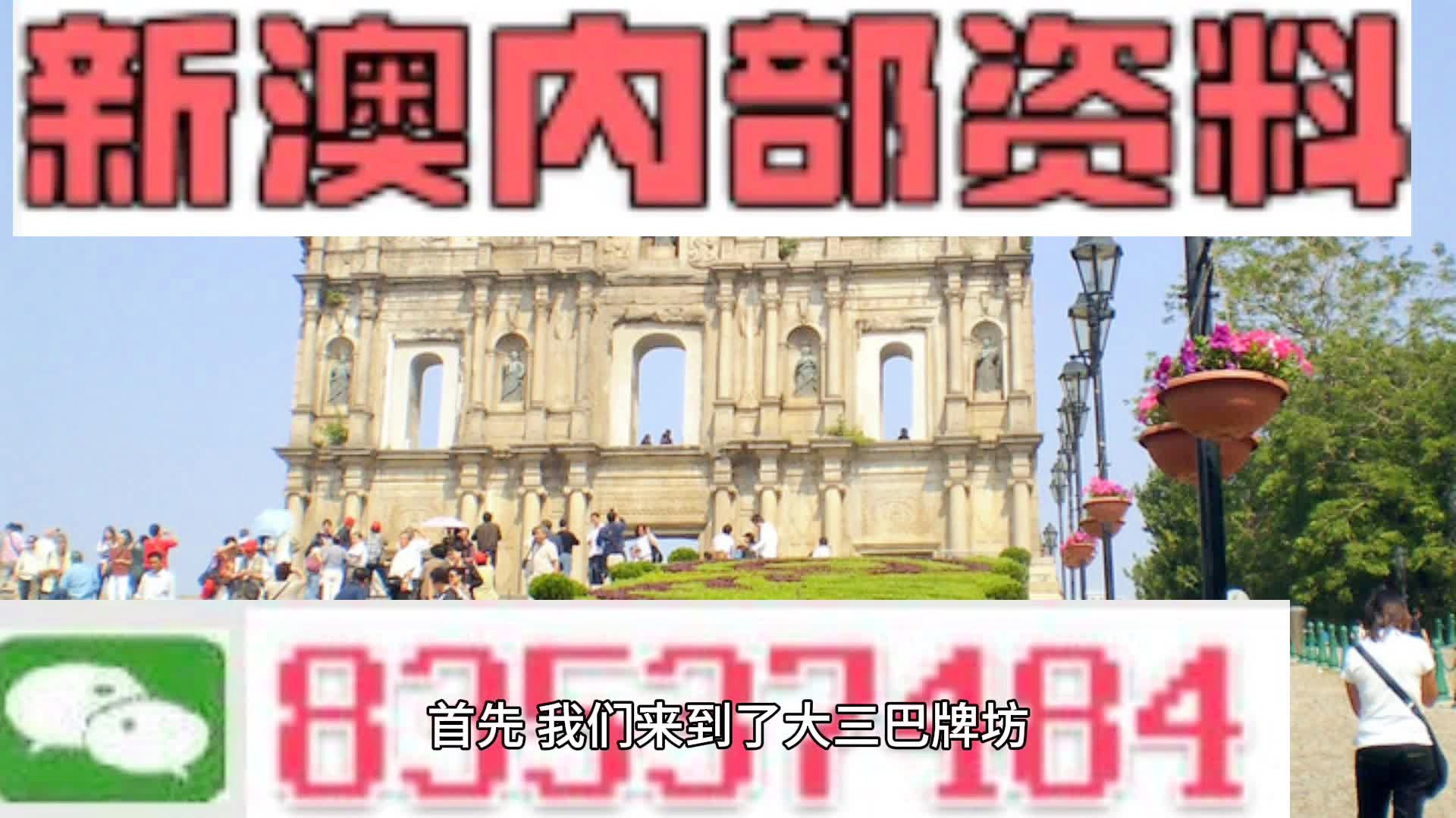 新澳2024正版免費資料，警惕背后的違法犯罪問題，警惕新澳2024正版免費資料背后的違法犯罪風險