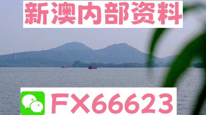 探索未來之門，2024新澳精準資料大全，探索未來之門，2024新澳精準資料大全解析