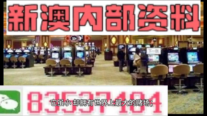 關(guān)于澳門精準(zhǔn)正版免費(fèi)大全的探討——警惕犯罪風(fēng)險(xiǎn)，澳門精準(zhǔn)正版免費(fèi)大全探討，警惕犯罪風(fēng)險(xiǎn)