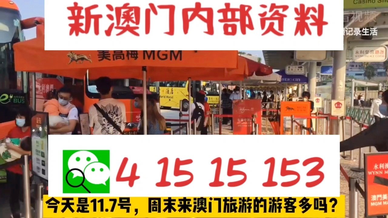 關(guān)于新澳門(mén)資料大全及家野中特的探討——警惕違法犯罪風(fēng)險(xiǎn)，澳門(mén)資料大全及家野中特探討，警惕潛在違法犯罪風(fēng)險(xiǎn)