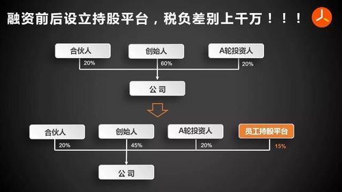 全民持股十大平臺(tái)，重塑經(jīng)濟(jì)格局的關(guān)鍵力量，全民持股十大平臺(tái)，重塑經(jīng)濟(jì)格局的驅(qū)動(dòng)力