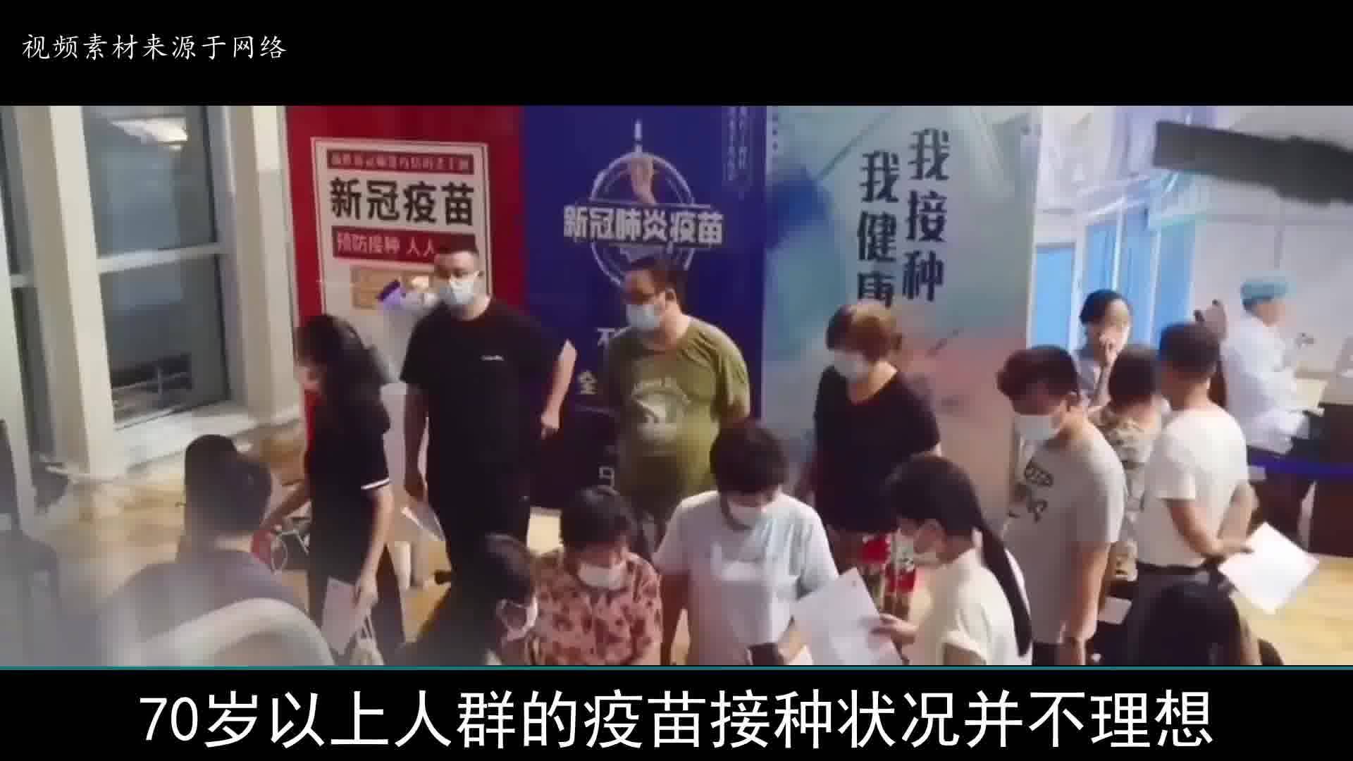 疫情最新育苗消息，全球疫苗研發(fā)進展與未來展望，全球疫苗研發(fā)進展，最新育苗消息與未來展望