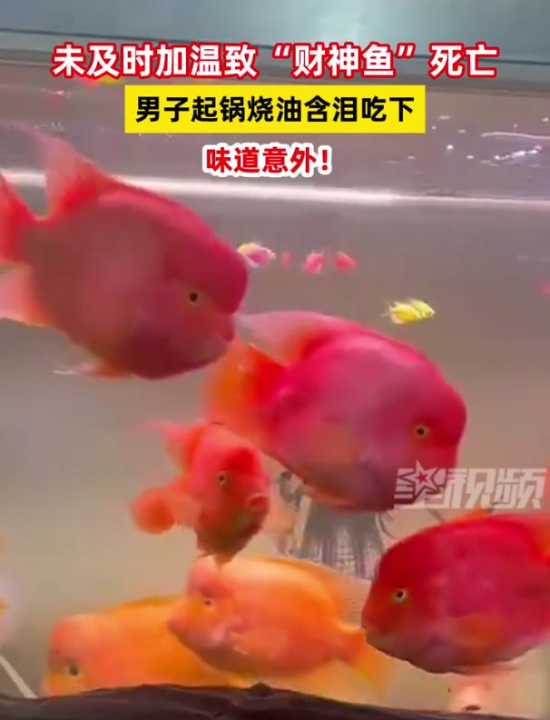 寂靜之夜 第10頁(yè)