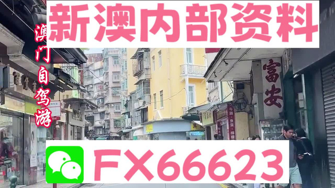 新澳正版資料免費提供，助力個人與企業(yè)的成長與發(fā)展，新澳正版資料助力成長與發(fā)展，個人與企業(yè)的免費資源寶庫