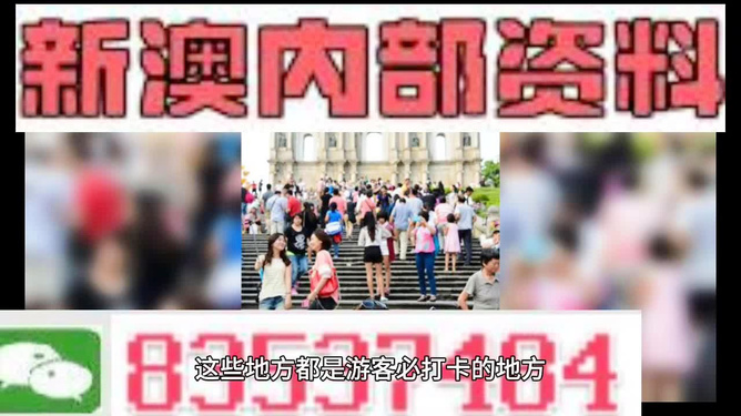 新澳精準(zhǔn)資料免費(fèi)提供的深度解析與實(shí)際應(yīng)用，新澳精準(zhǔn)資料深度解析與免費(fèi)應(yīng)用指南