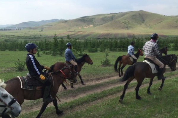 關(guān)于澳門特馬今晚開獎(jiǎng)的討論與警示，澳門特馬今晚開獎(jiǎng)討論及警示