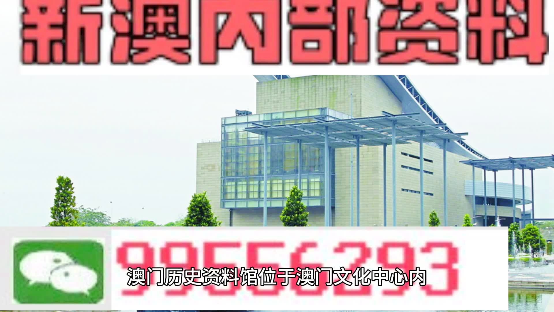關(guān)于新澳門資料大全正版資料與犯罪問題的探討（2023年），2023年澳門正版資料與犯罪問題深度探討