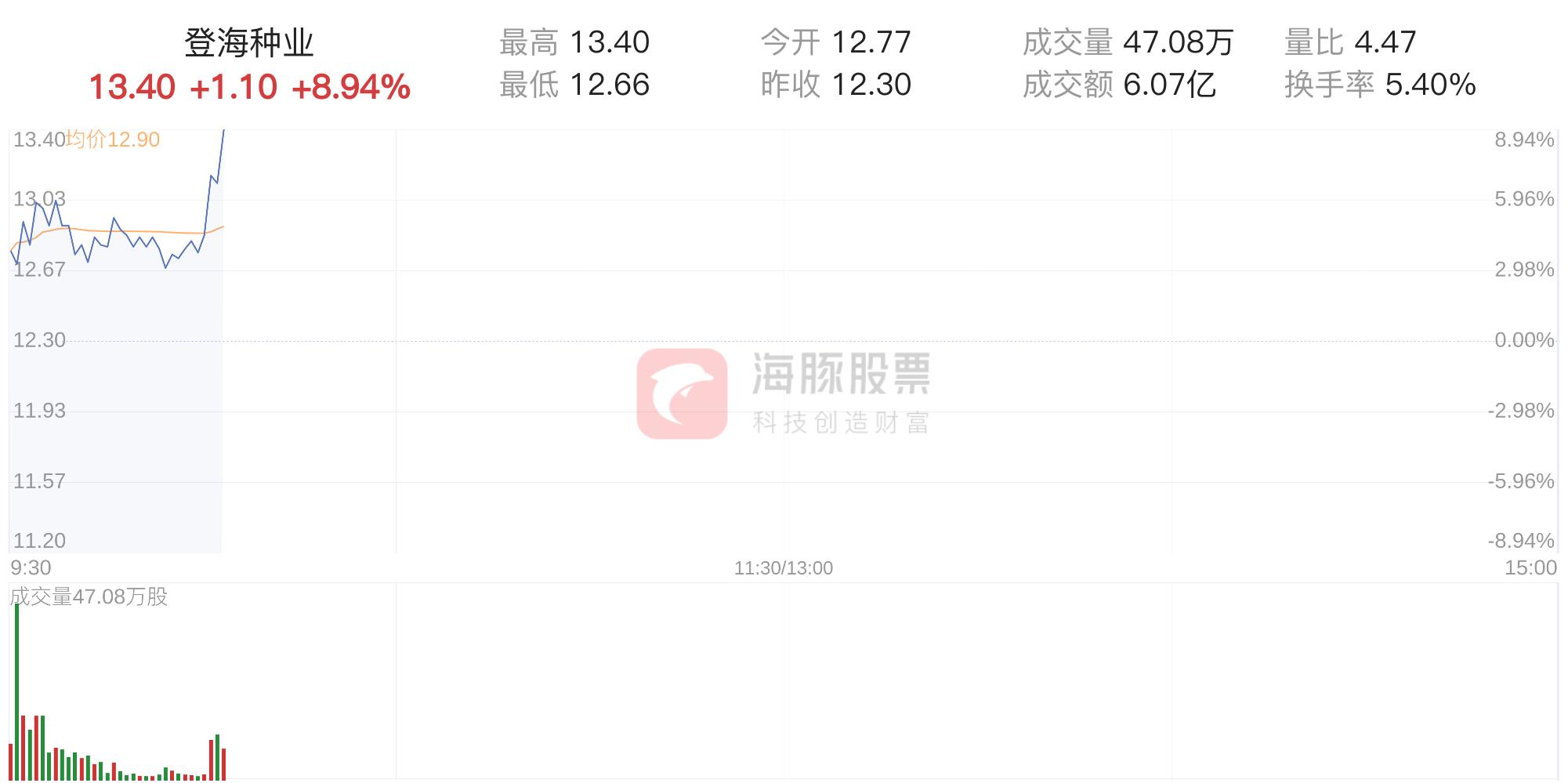 登海種業(yè)發(fā)行價(jià)是多少，深度解析與預(yù)測，登海種業(yè)發(fā)行價(jià)深度解析與預(yù)測，未來走勢展望