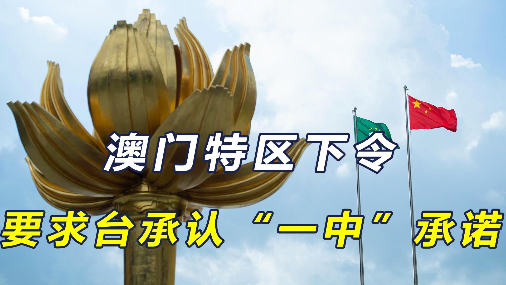 澳門一碼一肖一待一中四不像，探索與解析，澳門一碼一肖一待一中四不像，深度解析與探索