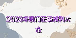 澳門正版免費全年資料大全與旅游團(tuán)，探索澳門的魅力之旅，探索澳門魅力之旅，正版全年資料大全與精選旅游團(tuán)