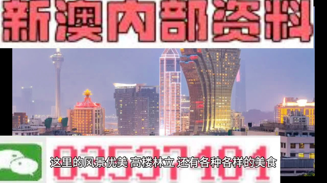 新澳精準(zhǔn)資料免費(fèi)提供，探索第510期的奧秘與價(jià)值，新澳第510期精準(zhǔn)資料探索，奧秘與價(jià)值揭秘