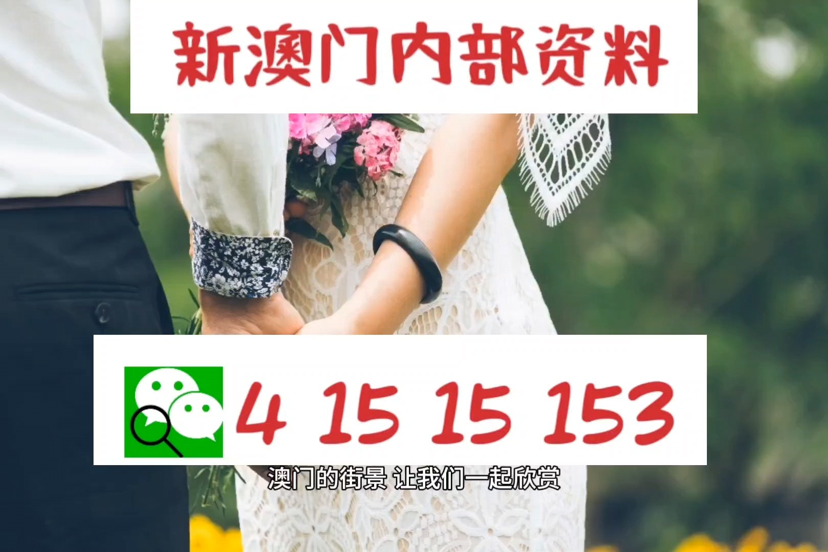 澳門六開彩，開獎結果查詢與探索，澳門六開彩開獎結果查詢及探索指南