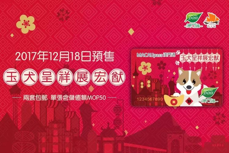 澳門六開彩天天開獎結(jié)果生肖卡，揭示背后的風(fēng)險(xiǎn)與法律警示，澳門六開彩天天開獎背后的風(fēng)險(xiǎn)與法律警示，生肖卡的警示作用