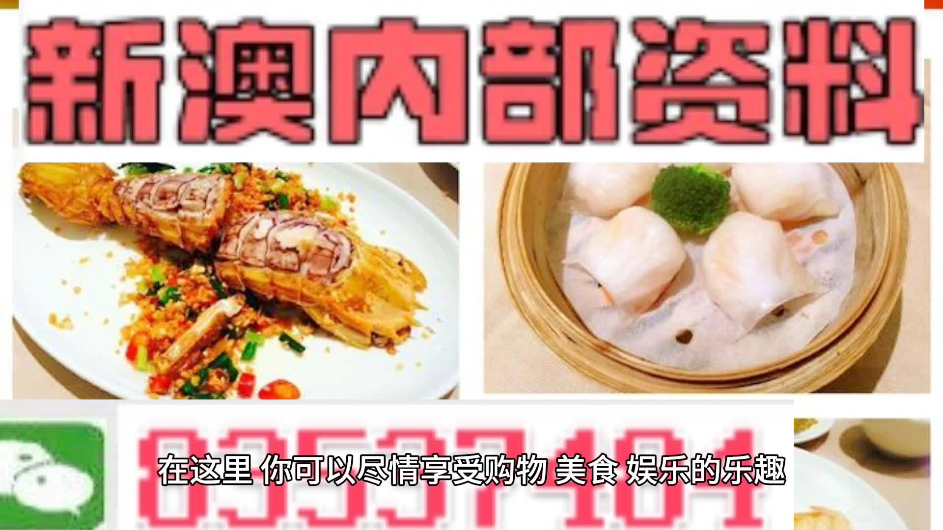 新奧天天精準(zhǔn)資料大全，探索與解讀，新奧天天精準(zhǔn)資料大全，深度探索與解讀
