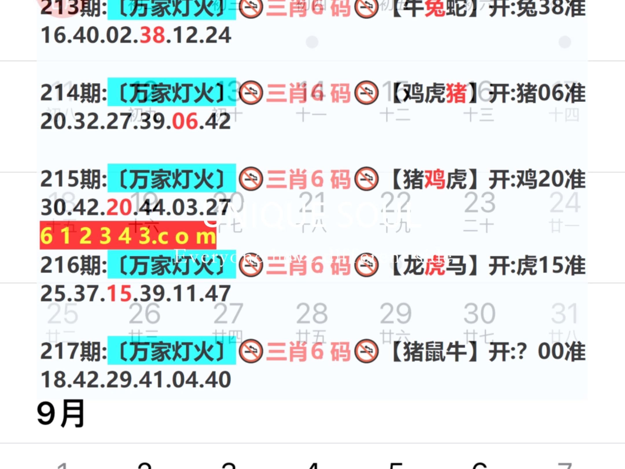新澳門期期免費(fèi)資料，探索與揭秘，探索與揭秘，新澳門期期免費(fèi)資料