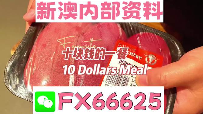 新澳精準(zhǔn)資料免費(fèi)提供，探索第510期的奧秘與價(jià)值，新澳第510期精準(zhǔn)資料探索，奧秘與價(jià)值揭秘