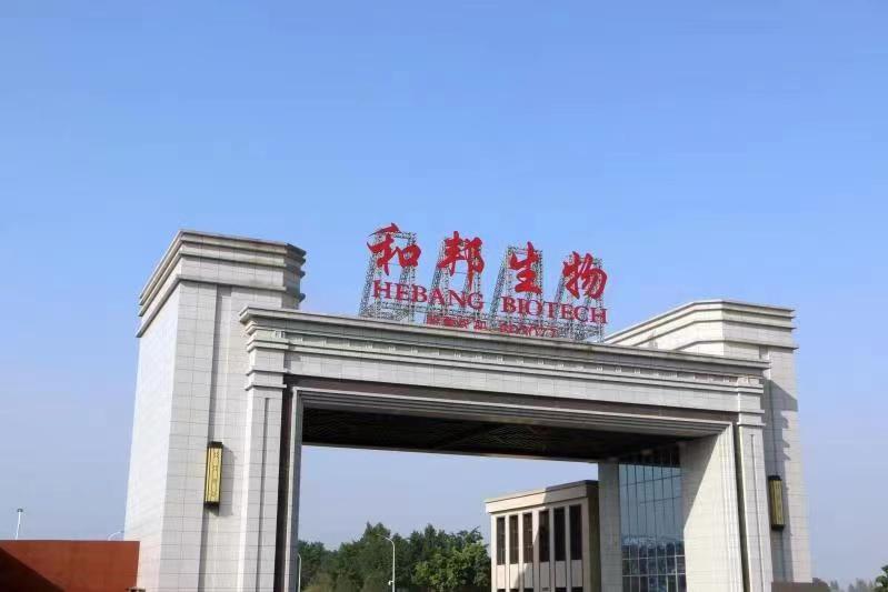 揭秘603077和邦生物股吧的獨(dú)特魅力與挑戰(zhàn)，揭秘和邦生物股吧的獨(dú)特魅力與面臨的挑戰(zhàn)（股票代碼，60307 7）