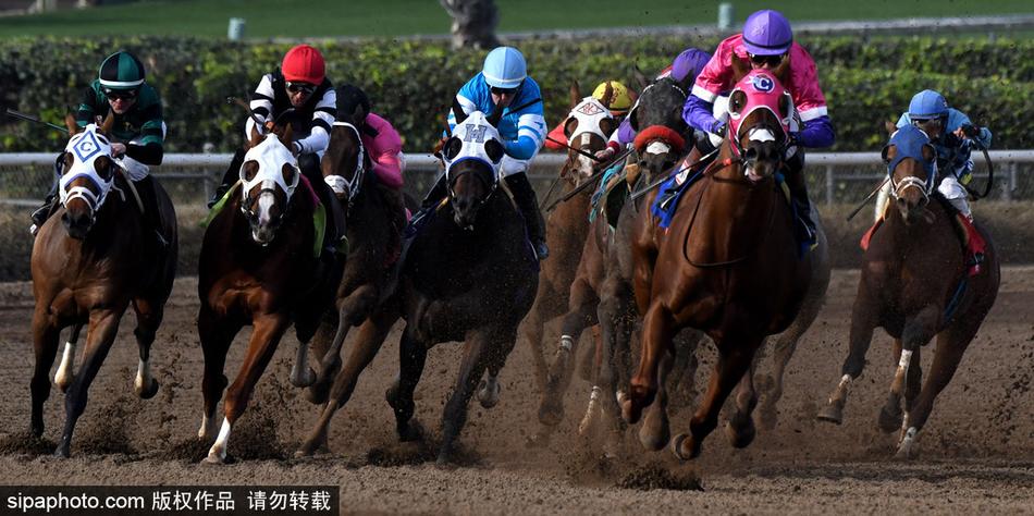 探索神秘數(shù)字組合，66O678與王中王定碼四不像一肖，揭秘神秘數(shù)字組合，王中王定碼四不像一肖與數(shù)字組合探索