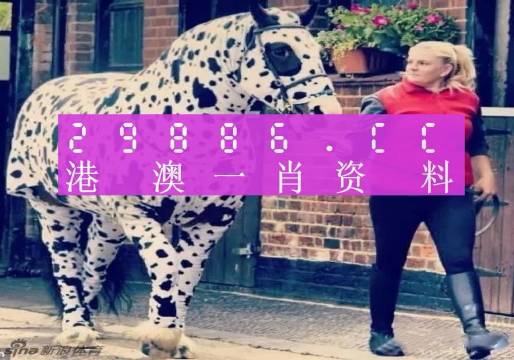 王中王一肖一特一中澳門，探索與洞察，王中王一肖一特一中澳門，深度探索與獨(dú)特洞察