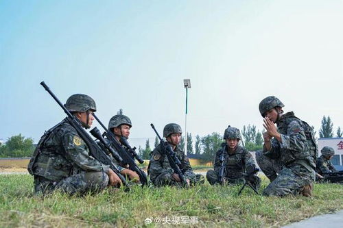 全國雇傭兵征兵網(wǎng)官網(wǎng)，探索現(xiàn)代軍事力量的招募與培養(yǎng)之路，全國雇傭兵征兵網(wǎng)官網(wǎng)，現(xiàn)代軍事力量招募與培養(yǎng)之路探索